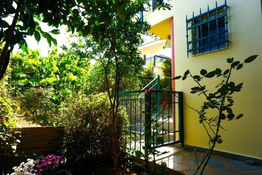 Cosy Guest House With Private Yard Saronida Exteriör bild