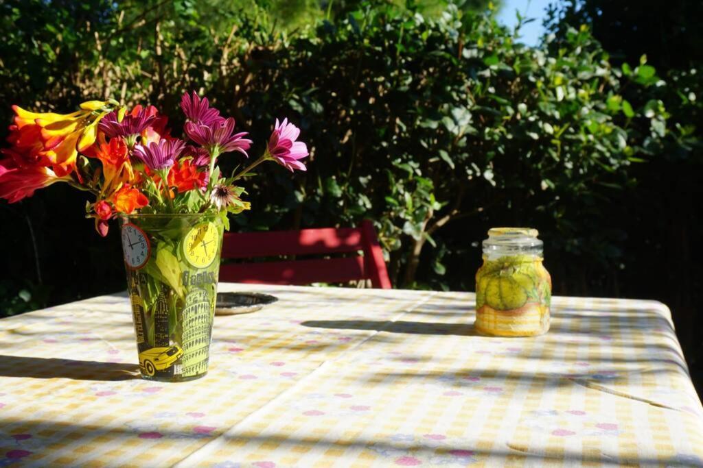 Cosy Guest House With Private Yard Saronida Exteriör bild